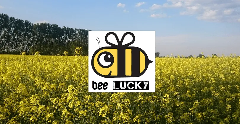 Bee Lucky